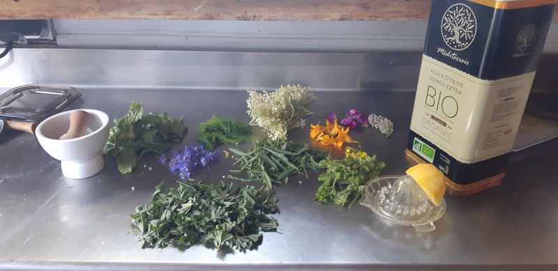 Atelier teinture végétale en pleine nature